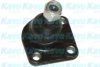 KAVO PARTS SBJ-9029 Ball Joint
